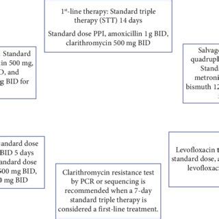 Treatment recommendation for H. pylori. | Download Scientific Diagram