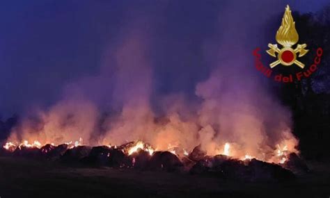 Tezze Sul Brenta Incendio Di Rotoballe Nel Campo Vicenzareport