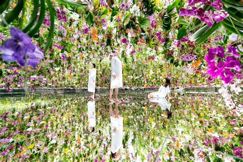 teamLab Planets TOKYO新設施 被13 000棵蘭花包圍的震撼 美紙