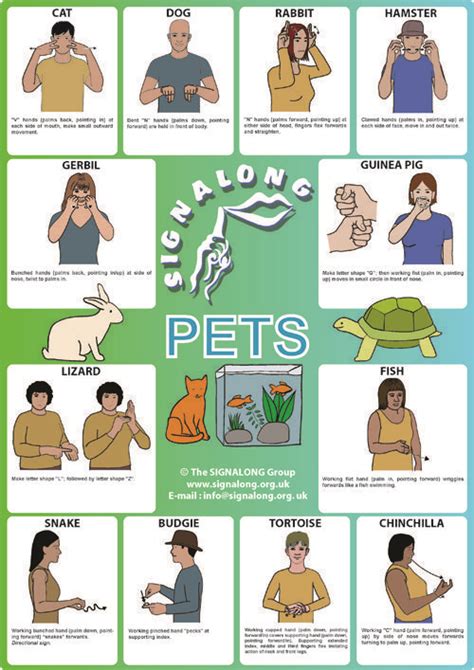 Asl Animals Printable - Printable Word Searches