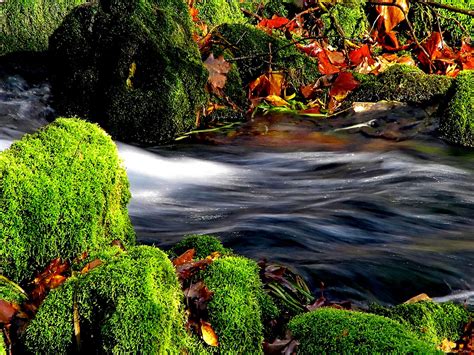 Flowing Water Wallpaper Nature And Landscape Wallpaper Better