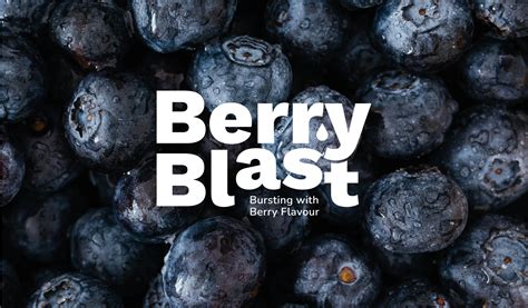 Berry Blast - Noviindus Technologies - Web designers, logo designers