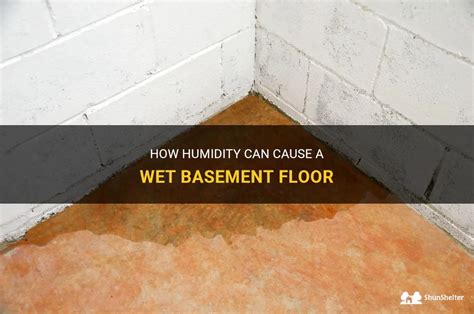 How Humidity Can Cause A Wet Basement Floor Shunshelter