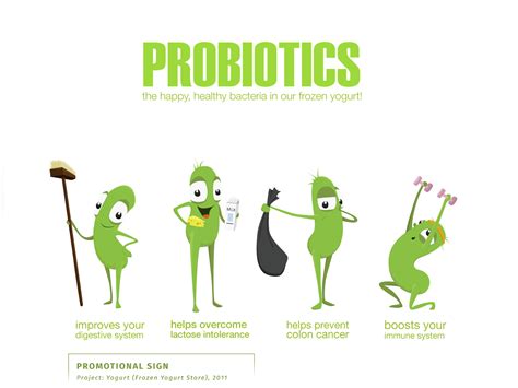 Prebiotics And Probiotics Cartoon