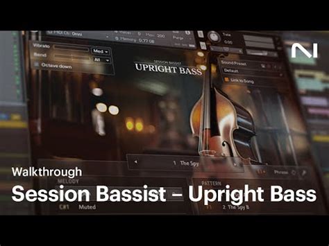 Session Bassist Upright Bass Native Instruments Audiofanzine