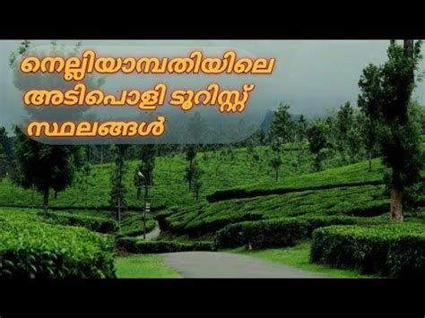 Nelliyampathy One Day Trip Palakkad Tourist Places