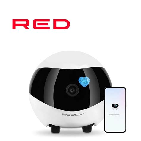 Робот-друг REDDY SE купить на OZON по низкой цене (1775837720)