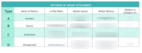 Chapter Patterns Of Attachment Diagram Quizlet