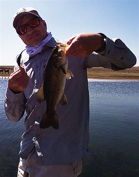 Middelburg Dam Oct 2021 Anglinks A Fishing Travel Blog