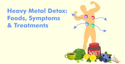 Heavy Metal Detox: Foods, Symptoms, & Treatments - Chelation Health ...