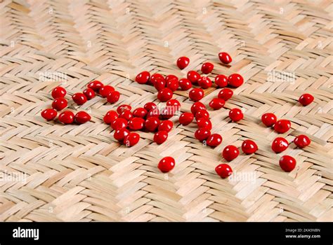 Seeds Of Adenanthera Pavonina Madatiya Seeds Sri Lanka Stock Photo Alamy