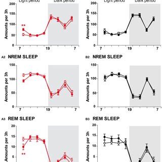 Long Term Effects Of The Chronic Social Defeat Stress On Sleep Wake