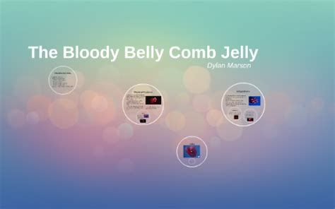 The Bloody Belly Comb Jelly by Dylan Marson on Prezi