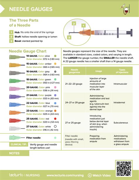 Needle Gauges [+ Free Cheat Sheet] | Lecturio Nursing in 2024 | Gauges size chart, Needle gauge ...