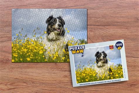 Puzzel Een Border Collie Tussen De Gele Bloemen Legpuzzel Puzzel