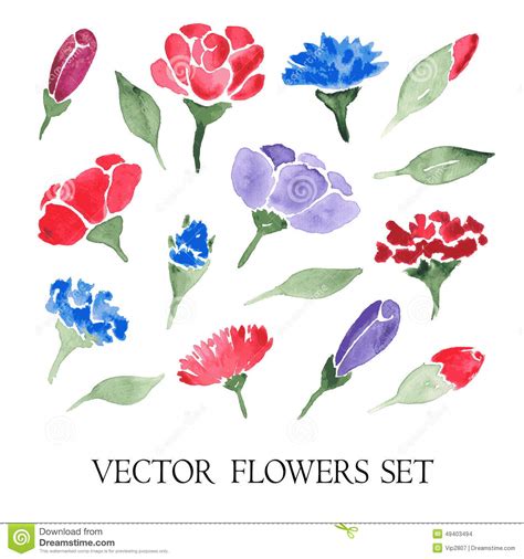 Grupo Do Vetor De Flores Da Aquarela Ilustração do Vetor Ilustração