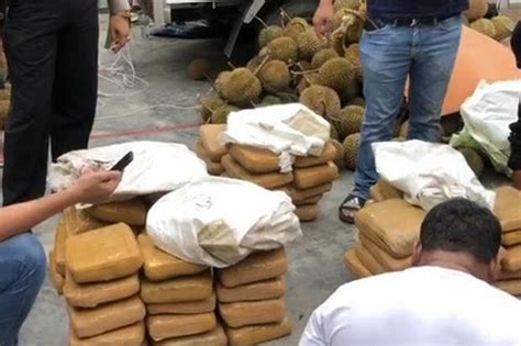 Sita 30 Kg Ganja Dari Bandar Dan Kurir Polisi Dikirim Dari Medan