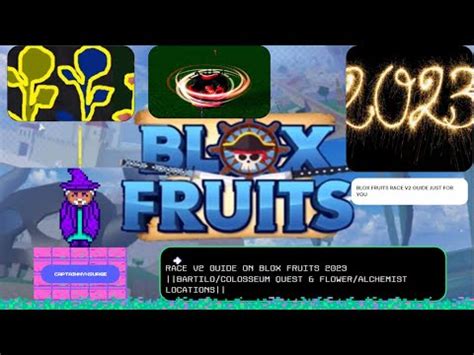 Race V2 Guide On Blox Fruits 2023 Bartilo Colosseum Quest Flower