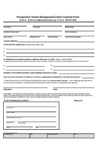 Background Check Consent Form Template