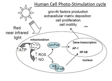 illumiWave (Mechanism of Action - Photo...)