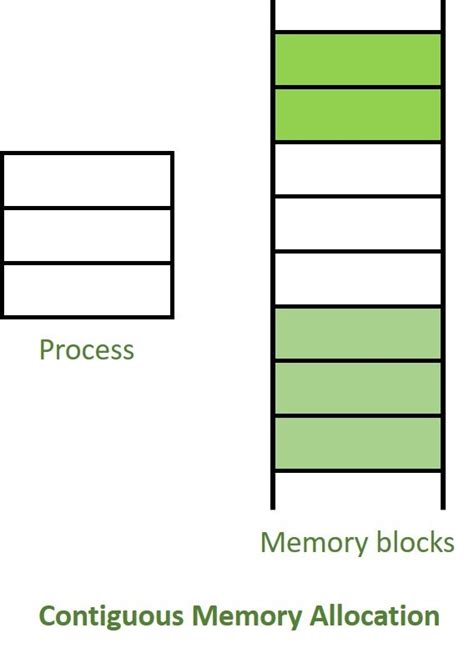 Difference Between Contiguous And Non Contiguous Memory Allocation