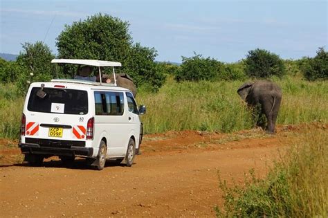 3 Day Safari Masai Mara