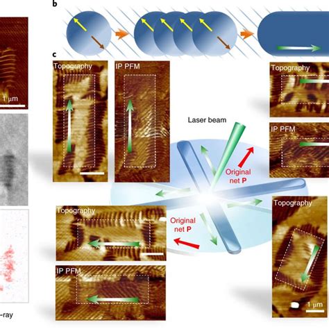 Optical Control Of Room Temperature Multiferroicity In BFO And Creating