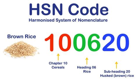 HSN Codes Explained Definition Importance Examples