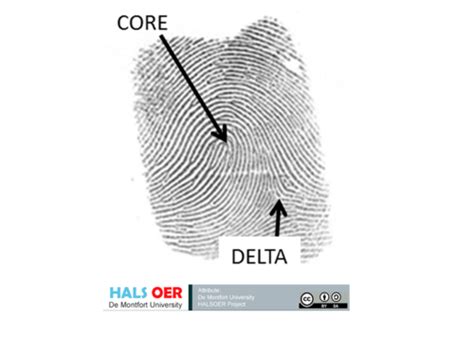 Observation Skills Forensics Exam Review Flashcards Quizlet