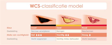 Een Complexe Wond Beoordelen Doe Je Zo Van Heek Medical