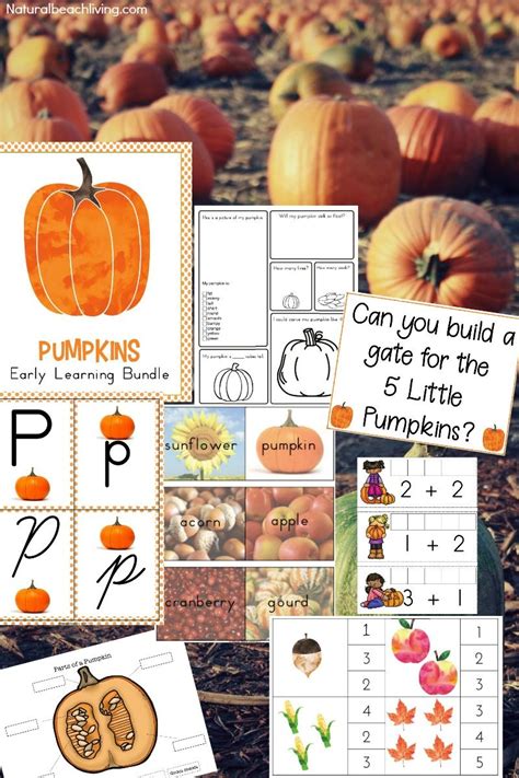 The Best Kindergarten And Preschool Pumpkin Theme Lesson Plan