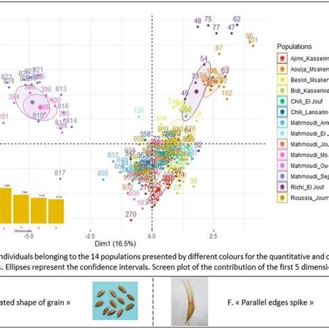 A Factor Analysis Of Mixed Data Famd Of 15 Quantitative And