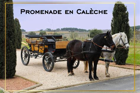 Promenade en Calèche Côté Mas