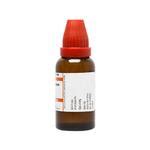 Buy Dr Willmar Schwabe Bryophyllum Liquid Ml Online At Discounted