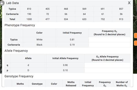 Calculate Allele Frequencies In Th Generation Marleykruwrasmussen