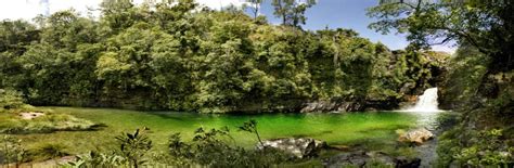 DISCOVER THE BRAZIL: Emas National Park, Goiás, Brazil!