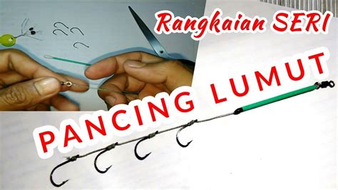 Tutorial Cara Membuat Pancing Umpan Lumut Ikan Nila Mujahir