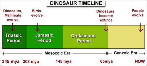 dino timeline | Teaching science, Primary science, Lesson