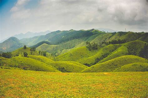 Become One With Nature On A Trip To Vagamon- Kerala - Candy Crow