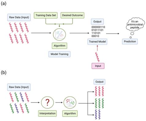 Microorganisms Free Full Text Advances In Antimicrobial Peptide