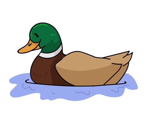 Mallard Duck Clipart Free Clipart World