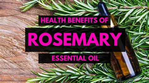 Top 10 Uses Of Rosemary Oil Essential Oils Natural Cures Rosemary Oil Benefits Youtube