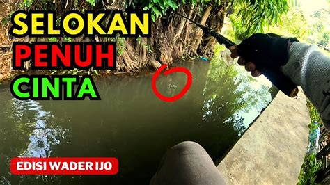 Mancing Wader Ijo Selokan Youtube