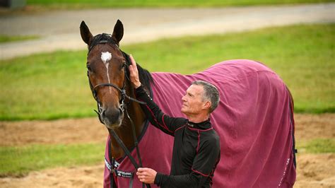 Melbourne Cup Vet Checks Why We Must Back Their Call The Australian