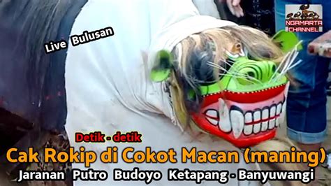 Keblak Macanan Putro Budoyo Banyuwangi Live Bulusan Youtube