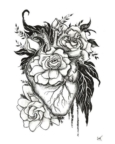 Drawing Human Heart Tattoo