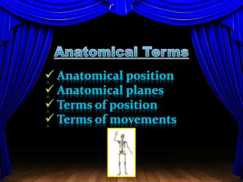 Solution Anatomical Postion Planes Terms And Movements General Anatomy