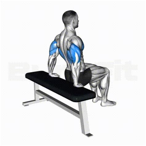 Bench Dips Smash Your Limit BurnFit