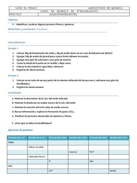 Practico Procesos Fisicos Y Quimicos Pdf