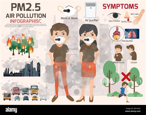 Infografia El Impacto De La Contaminacion Ambiental En La Sal Nbkomputer